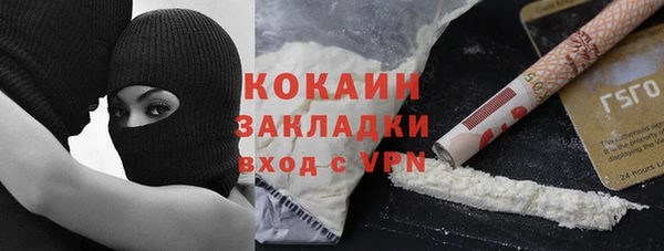 шишки Баксан
