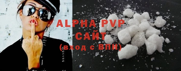 молекула духа Богданович