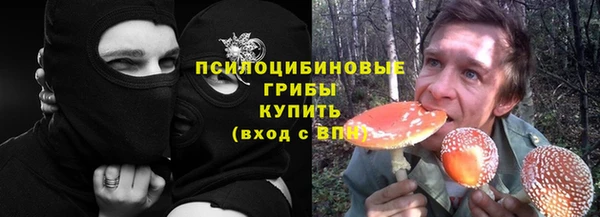 прущие крисы Белоозёрский