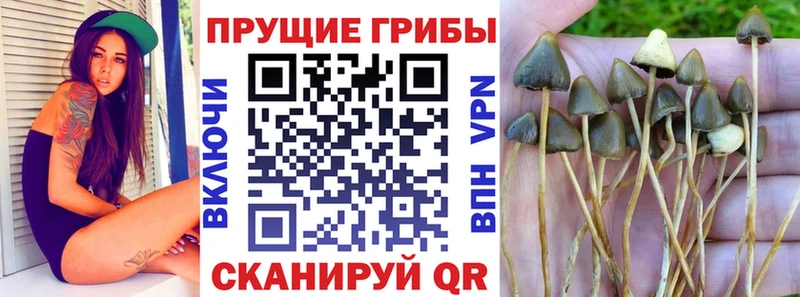 Псилоцибиновые грибы MAGIC MUSHROOMS Короча